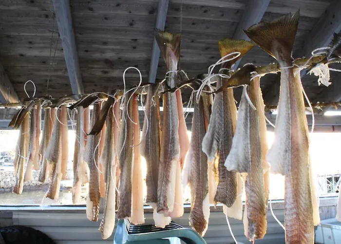 Holmvik Brygge Nyksund