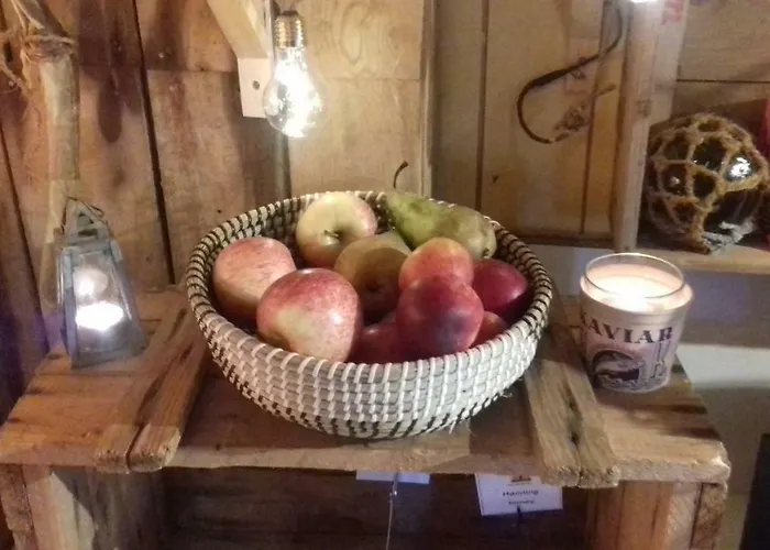 Holmvik Brygge בית הארחה