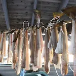 Holmvik Brygge Nyksund