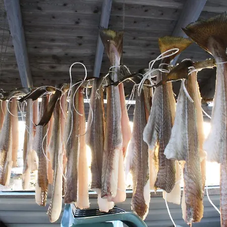 霍尔维克布里格尼桑旅馆 Nyksund